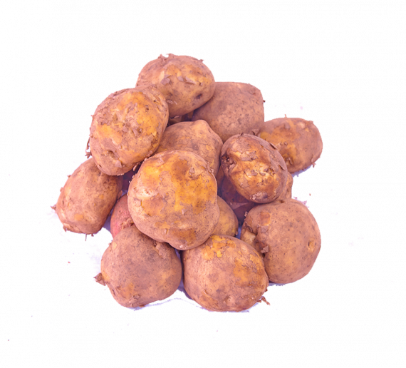 Grosses Pommes de terre JJMall
